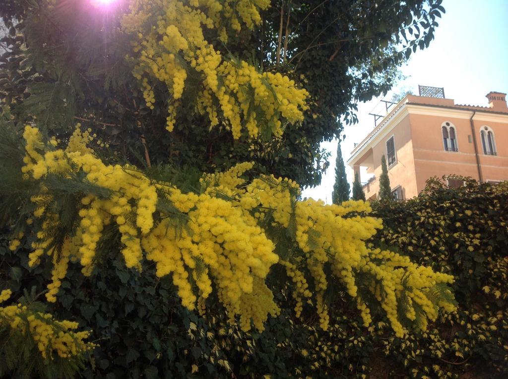 Casa vacanze Gianicolo Penny's Garden